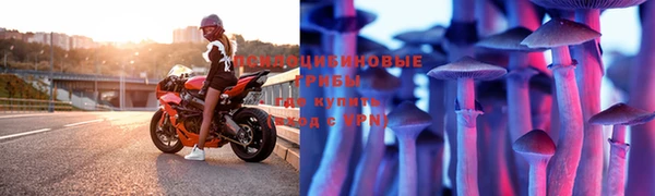 прущие крисы Алексеевка