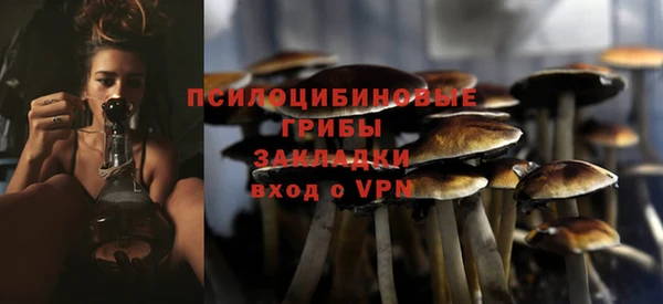 ГАЛЛЮЦИНОГЕННЫЕ ГРИБЫ Алексин