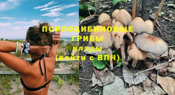прущие крисы Алексеевка