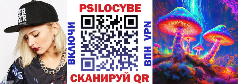 Галлюциногенные грибы Psilocybe  кракен онион  Ахтырский  купить наркоту 